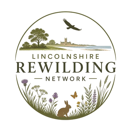 Lincolnshire Rewilding Network logo